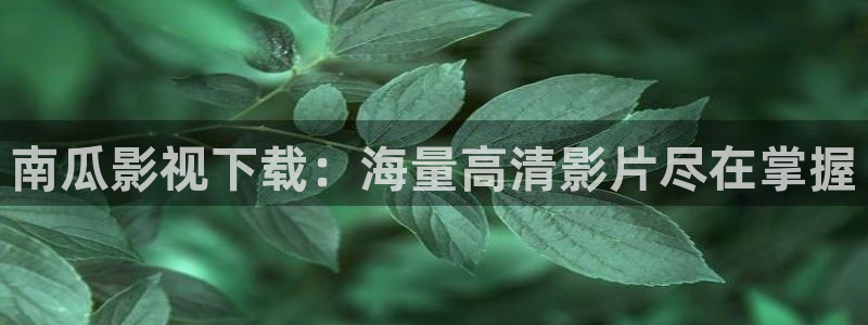 浮力影院日韩：南瓜影视下载：海量高清影片尽在掌握