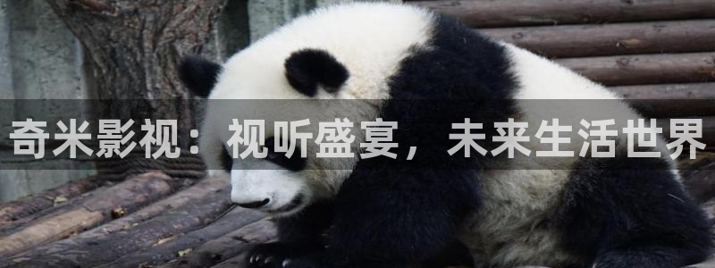 国产笫一页浮力影院：奇米影视：视听盛宴，未来生活世界