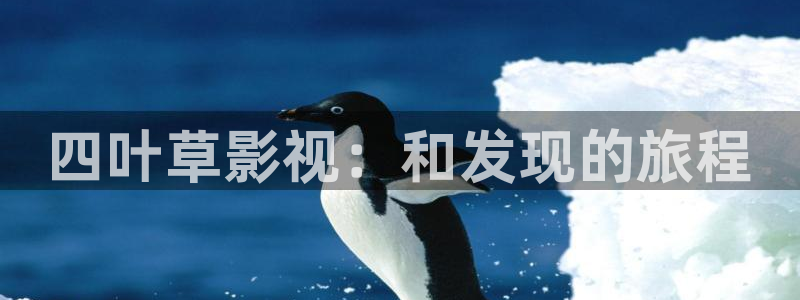 浮力影院4：四叶草影视：和发现的旅程