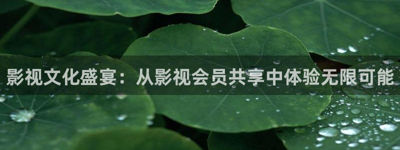 浮力限制影院：影视文化盛宴：从影视会员共享中体验无限可能