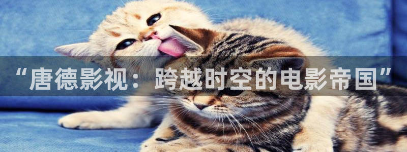 浮力成人在线影院：“唐德影视：跨越时空的电影帝国”