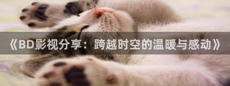 浮力影院第一：《BD影视分享：跨越时空的温暖与感动》