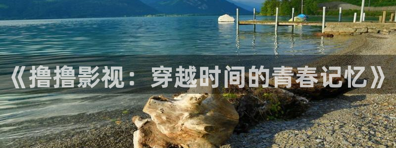 浮力浮力：《撸撸影视：穿越时间的青春记忆》