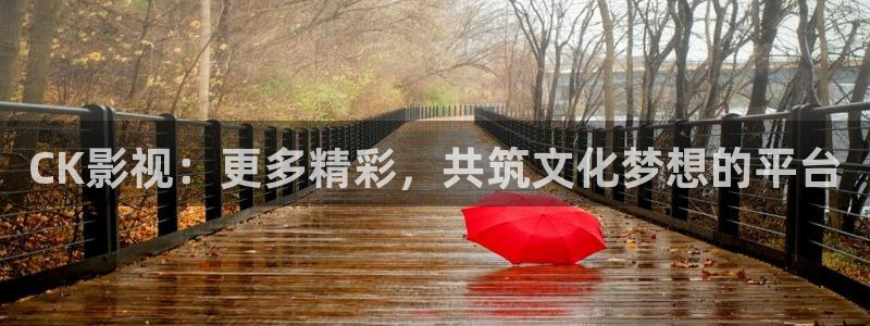 国产浮力影院第一：CK影视：更多精彩，共筑文化梦想的平台
