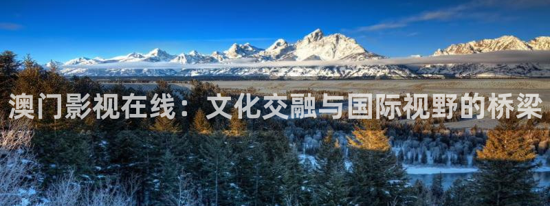 草草浮力影院18：澳门影视在线：文化交融与国际视野的桥梁