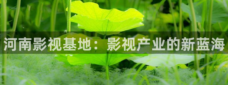 浮力影院最：河南影视基地：影视产业的新蓝海